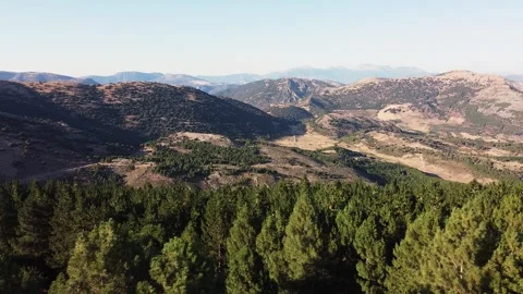 Drone flight over a pine forest Stockbeeldmateriaal 281844433