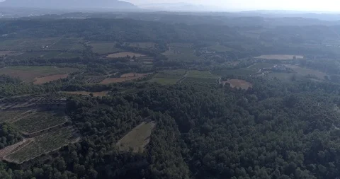 Drone flight over pine mediterranian forest Stock Footage 93394618