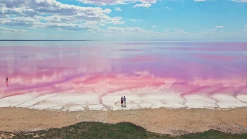 Drone flight over pink lake and romantic couple standing on lake coast. Stock Footage 140173488