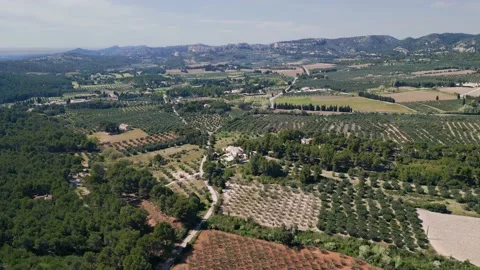 Drone flight over a plain Stock Footage 238026120