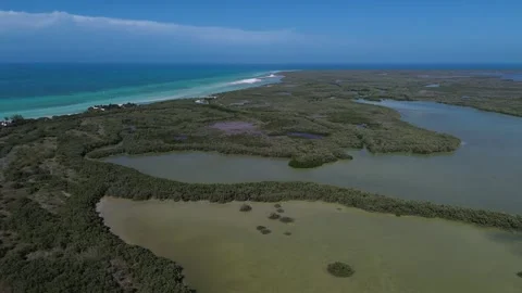 Drone flight over the pristine mangrove ecosystems of Holbox Island, Mexico Stock Footage 331519987