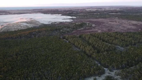 Drone Flight Over Råbjerg Mile: Denmark's Migrating Sand Dune Video stock 336477103