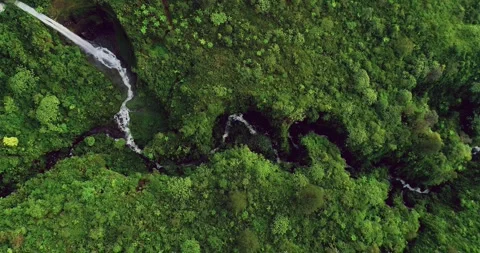 Drone Flight Over Rainforest Waterfall Emerging Through Mountain Mist Stock Footage 329656427