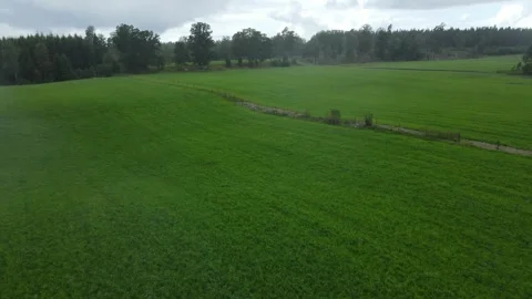Drone flight over a rainy field in Sweden. Stock Footage 248088832
