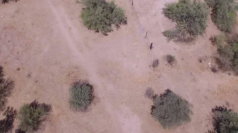 Drone flight over ranch in Mexico Stock-Footage 81770099