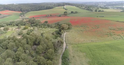 Drone flight over red and green fields Stock Footage 90494921