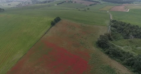 Drone flight over red and green fields Stock Footage 90495118