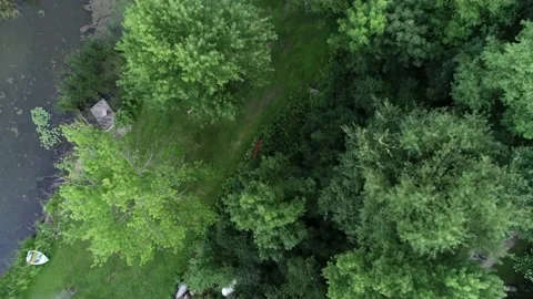 Drone Flight over a remote creek bed leading to a path Vidéo 230180103