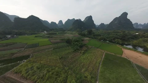 Drone flight over rice fields and Yulong River toward karst mountains in China. Stock Footage 348011302