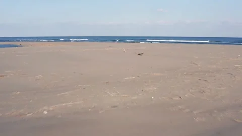 Drone flight over river and beach with waterbirds at sunset Miyazaki Japan Stock Footage 259670488