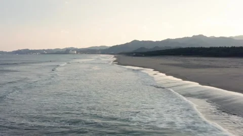 Drone flight over river and beach with waterbirds at sunset Miyazaki Japan Stock Footage 259670585