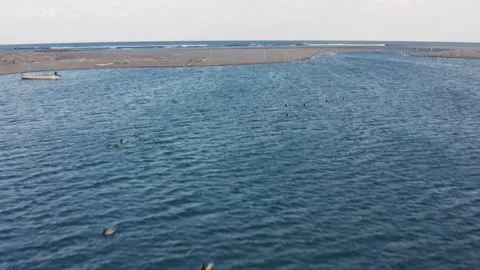 Drone flight over river and beach with waterbirds at sunset Miyazaki Japan Stock Footage 259670631
