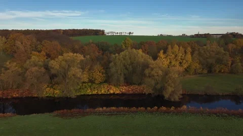 Drone Flight Over River and Golden Forest Stock Footage 321292398
