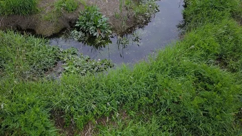 Drone flight over a river bank Stock Footage 109124587