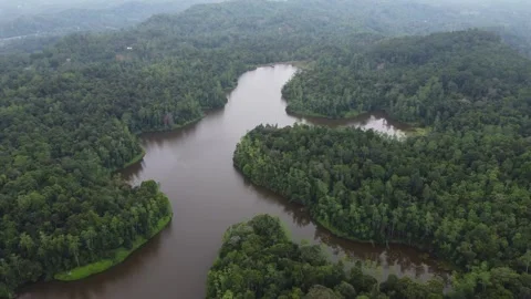 Drone flight over a river in the jugla of srilanka. 4k, overcast. Stock Footage 273502305