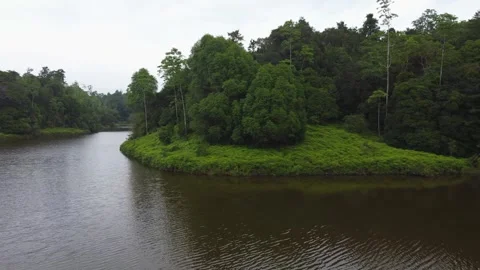Drone flight over a river in the jugla of srilanka. 4k, overcast. Video stock 273502307