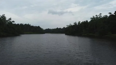 Drone flight over a river in the jugla of srilanka. 4k, overcast. Video stock 273502315