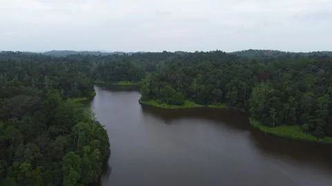  Drone flight over a river in the jugla of srilanka. 4k, overcast. Stock Footage 273502319