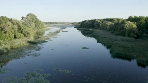Drone flight over river at lake balaton Stock Footage 229156358