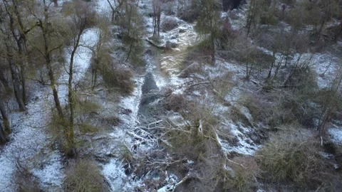 Drone flight over a riverside forest Stock Footage 325482202