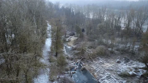 Drone flight over a riverside forest Stock Footage 325482246