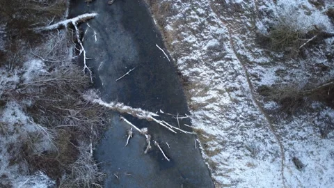 Drone flight over a riverside forest Stock Footage 325482684