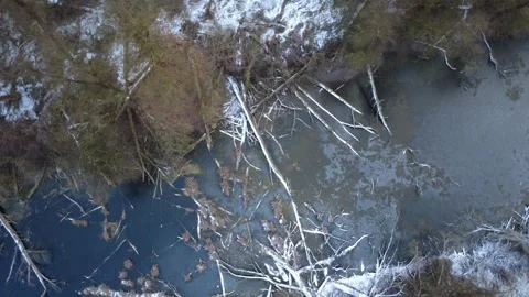 Drone flight over a riverside forest Stock Footage 325483578