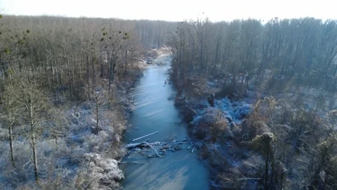 Drone flight over a riverside forest Stock Footage 325483579