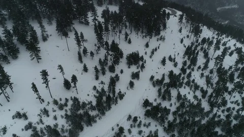 Drone flight over road and snowy forest Stock Footage 125699140