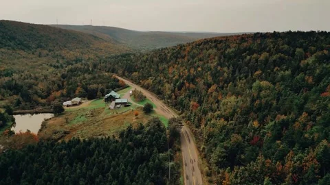 Drone Flight Over A Road And Dense Forest Approaching A Farm Video stock 255045412