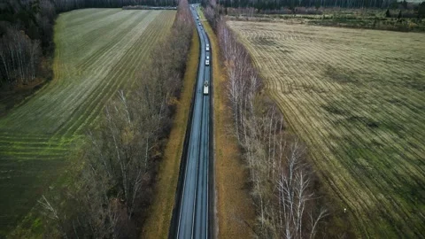 Drone flight over the road in the forest Stock Footage 220453387