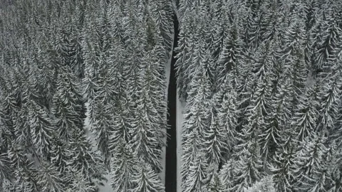 Drone flight over road through snowy pine forest in winter Stock Footage 322511352
