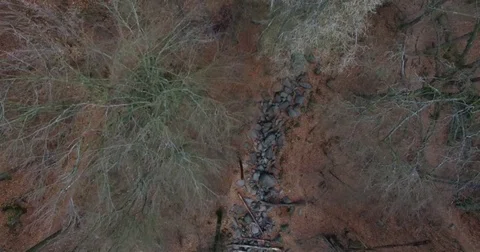 Drone flight over a rocky landscape Stock Footage 72567991