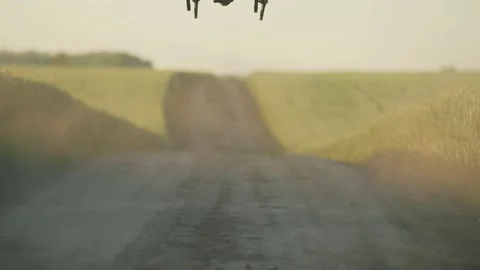 Drone flight over the rural road rising sand, soil n between wheat fields left Stock Footage 202986853