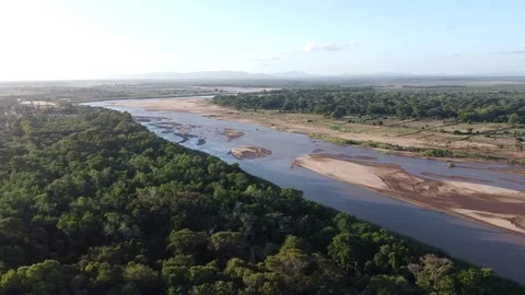 Drone Flight over the Sandy Riverbeds and Forest of Berenty, Madagascar Stock Footage 328155896