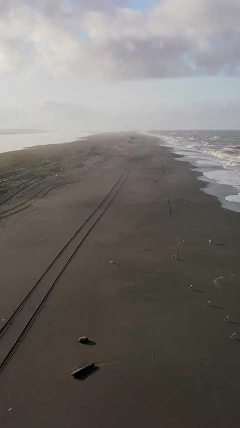 Drone Flight Over Sandy Spit With Car Tracks and Seagulls Stock Footage 339104524