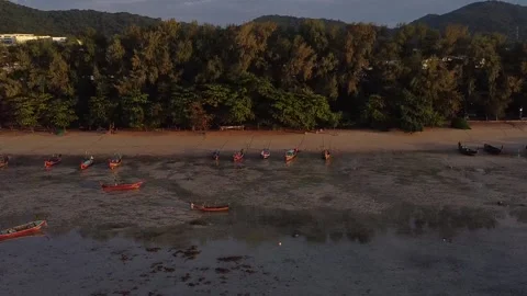 Drone flight over the shallow shore early in the morning Stock Footage 217503927