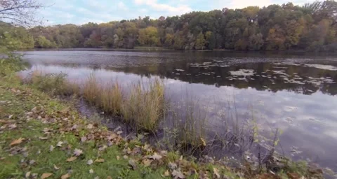 Drone flight over shrubs over river Stock Footage 55305116