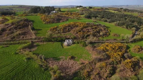 Drone flight over a small house standing alone in a field in the Irish village Video stock 267076657