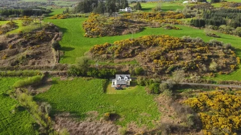 Drone flight over a small house standing alone in a field in the Irish village Stock Footage 267076801