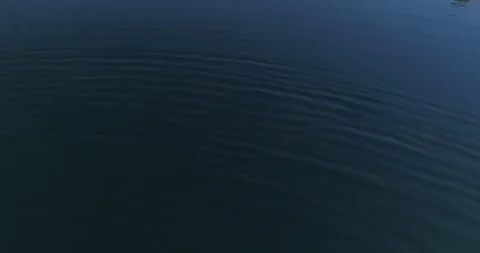 Drone flight over small lagoon in inland Stock Footage 93394184