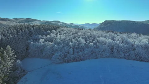 Drone Flight Over Snow Covered Evergreen Forest Stock Footage 326244633