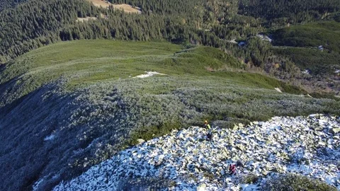 Drone flight over snow-dusted rocks and alpine vegetation in autumn Stock Footage 339649293