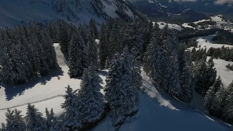 Drone flight over a snowy forest Stock-Footage 90762105