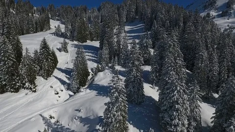 Drone flight over a snowy forest 스톡 동영상 90762114