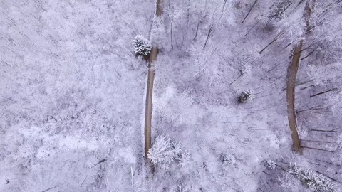 Drone flight over a snowy forest Stock-Footage 90762627