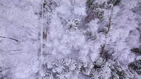 Drone flight over a snowy forest Stockbeeldmateriaal 90762638