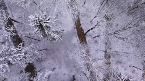 Drone flight over a snowy forest Stockbeeldmateriaal 90762639