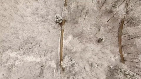 Drone flight over a snowy forest Stockbeeldmateriaal 90762650
