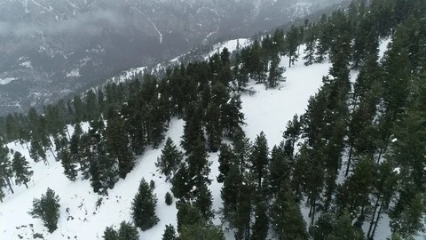 Drone flight over a snowy forest Stock Footage 125699717